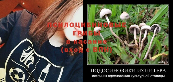 mix Зеленокумск