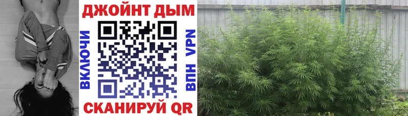 МАРИХУАНА ГИДРОПОН  Купить  Заинск 
